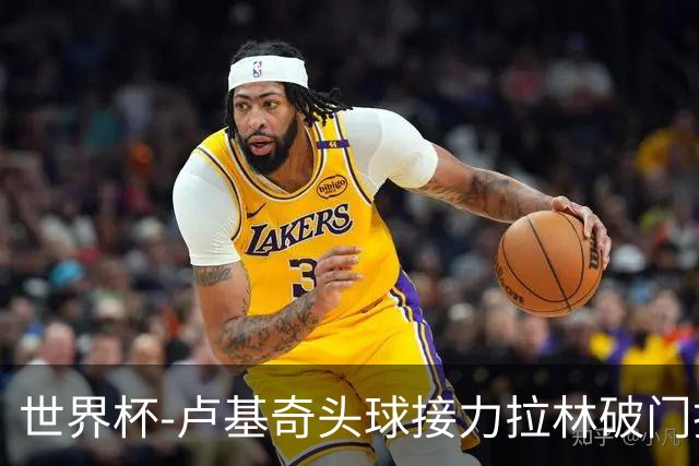 世界杯-卢基奇头球接力拉林破门扳平 加拿大1-1波黑